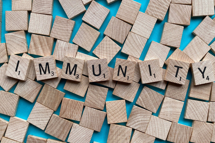 Boost Your Immunity: Foods and Supplements for Cold Season